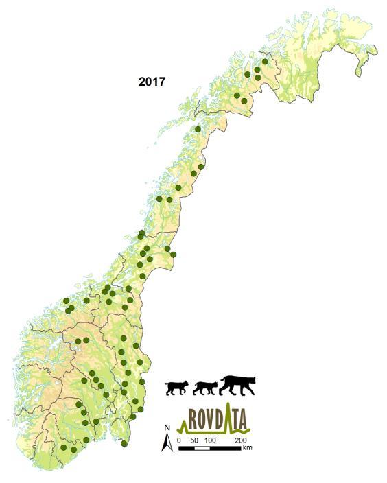 Bestandsstatus 2016/2017 - gaupe Rovviltregion Bestandsmål Bestandsstatus (før jakt) 2015 2016 2017 Gjennomsnitt Region 1-0 0 0 0 Region 2 12 16* 9,5* 9* 11,5 Region 3 5 7* 3,5* 5* 5,2