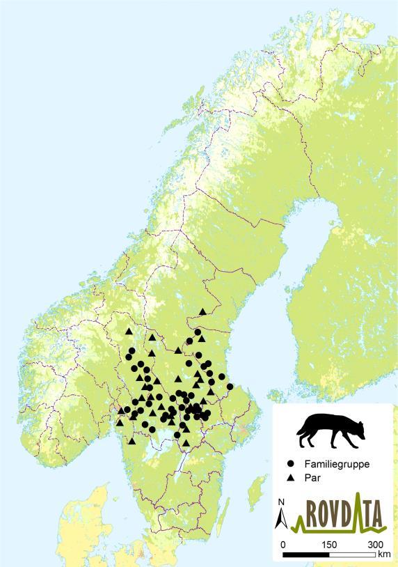 Bestandsstatus 2016/2017 - ulv Norge Grense Totalt (etter fordeling av grenserevir)