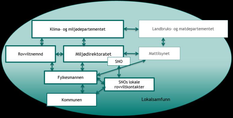 Bestandsstatus styrer myndighetsforhold De regionale rovviltnemndene har ansvaret for rovviltforvaltningen innenfor sin region når bestandsmål er