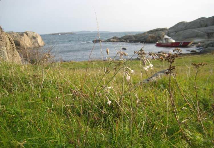 Områdeplanen for UKL: MÅL Kilde til kunnskap om natur- og kulturarv