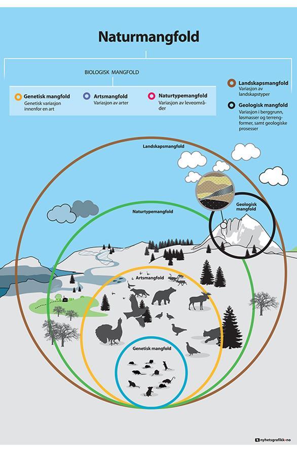 Hva slags natur er relevant? Trekk inn kunnskap om all berørt natur, ikke bare truet natur!