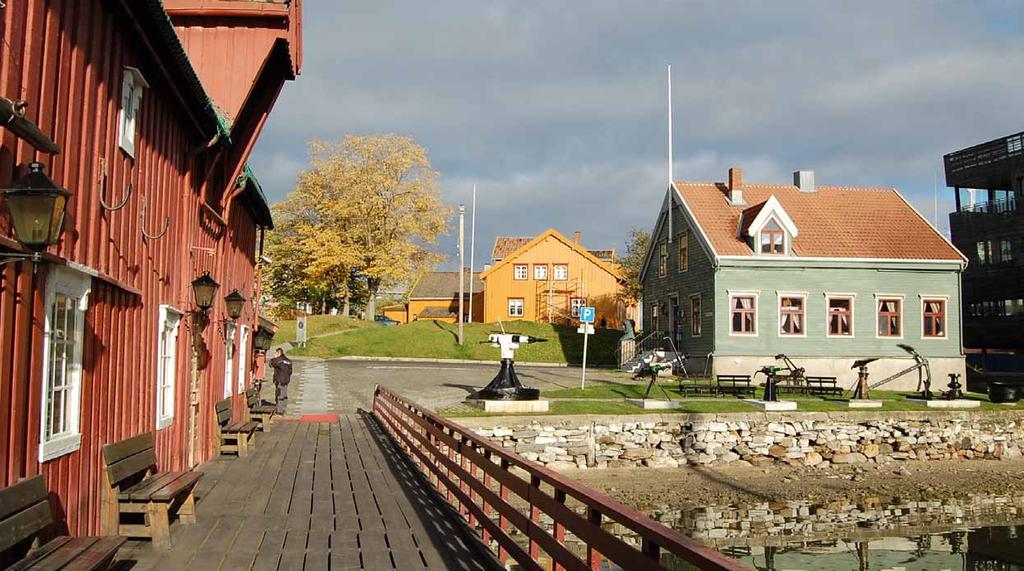 Skansen er et festningsverk fra 1200-tallet. Festningsvollen er i dag det eneste synlige middelaldersporet i Tromsø by.