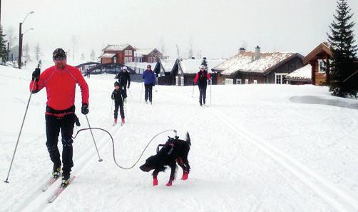 Prisoversikten fra Eiendom Norge (side 27) viser at det ikke er entydig sammenheng mellom eiendomspriser og alpinanlegg slik man ofte tenker Den viser imidlertid at destinasjoner som både har alpin