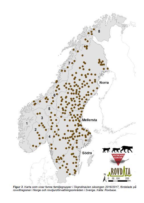 Fig 9: Kart over familiegrupper av gaupe vinteren 2016/17 i Skandinavia