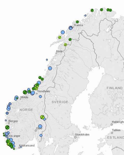 Hva med de uutnyttede konsesjonene?