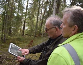 avsetningsgaranti HJELP MED rådgivning gjennomgang av skogbruksplan tilsyn av eiendommen