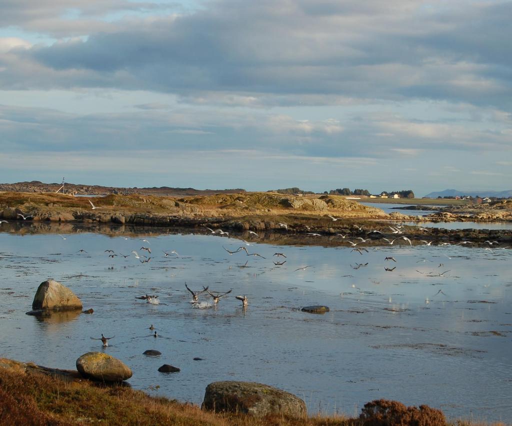 Retningslinjer for AKAN arbeidet Hustadvika