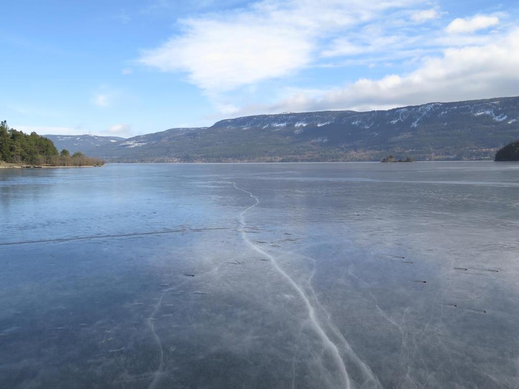 2015 Steinsfjorden