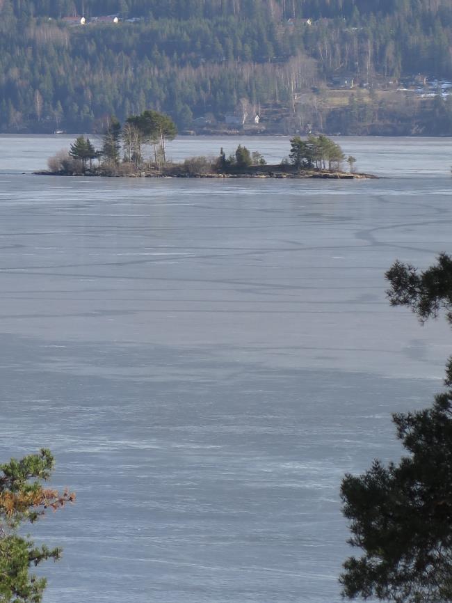 Klorofyll-a er et mål for den totale mengden planteplankton i en innsjø. På bakgrunn av denne parameteren klassifiseres vannkvaliteten i Steinsfjorden (0 7 m) som god i 2015 (Figur 4).