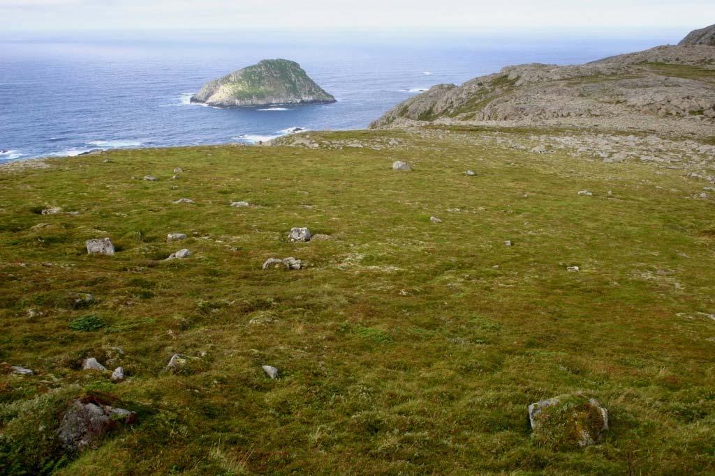 Figur 5.4. På ryggen av Bufjellet i sør. Heigråmose i mosaikk med krekling og røsslyng. Foto: Thomas H.