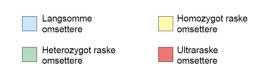 ulik aktivitet i