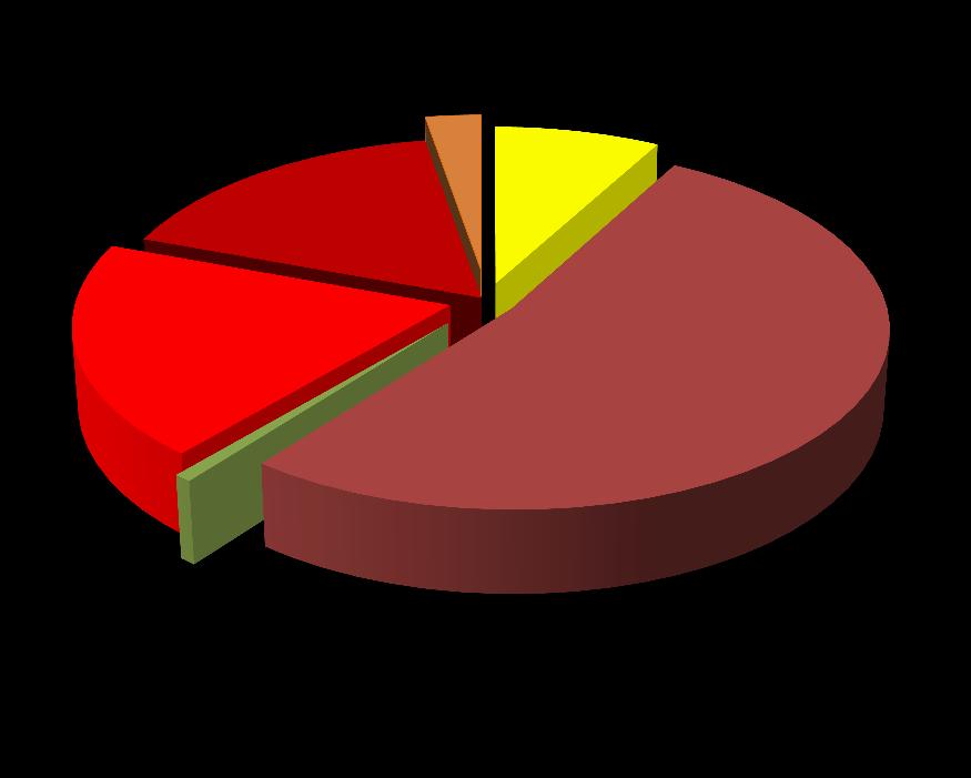 Лејланд 0,87% Застава минибус 4,08% Икарус 19,82% Јутонг 16,7% Застава