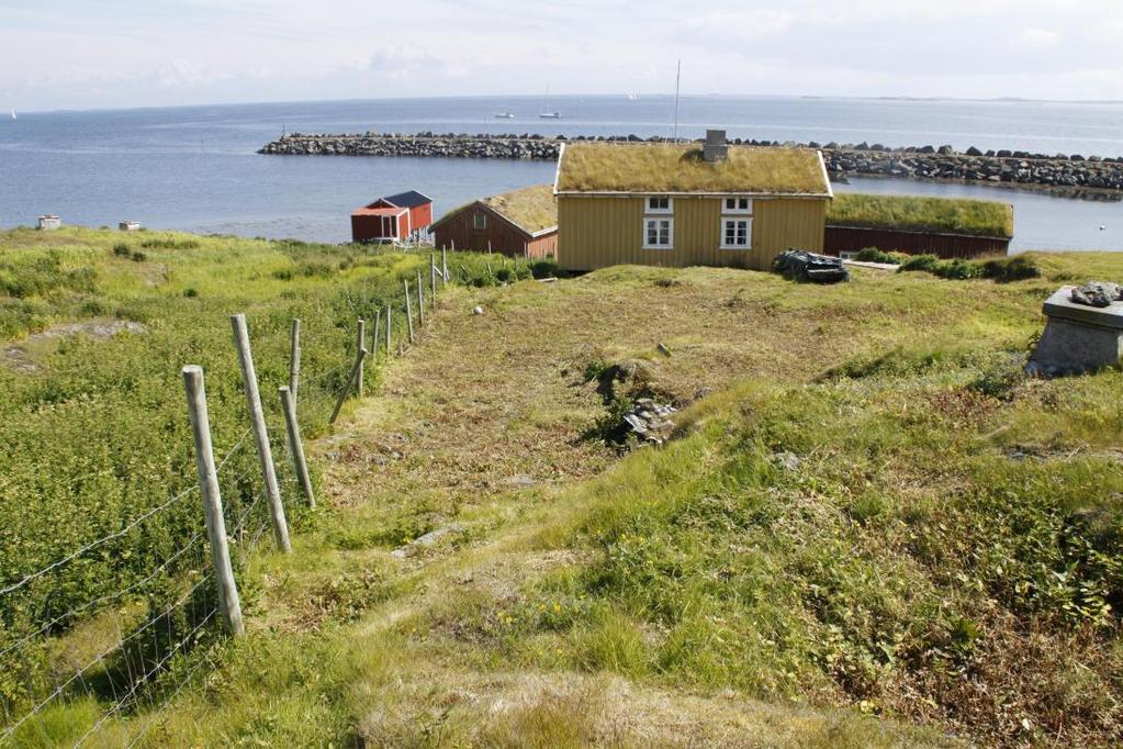 Figur 11. Slåttemark på Skjærvær, Vega kommune. Slås på bare på den ene sida av gjerde. Problemarter er mjødurt og strandrør (Foto: A. Bär/NIBIO). 4.3.