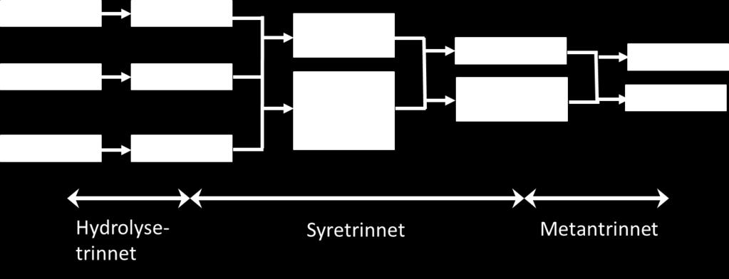 sammensatt av tre trinn som gjerne omtales som hydrolysetrinnet, syretrinnet og metantrinnet. Dette er skissert i figur 1. Figur 1.
