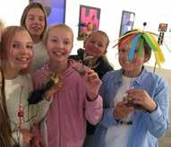 Av disse er 19 kunstforeninger, 10 museer, 4 galleri, 9 institusjoner og 11 kommuner. I 2016 fikk SKINN 1 ett nytt medlem, dette er Kulturbadet i Sandnessjøen som er en kommunal enhet.