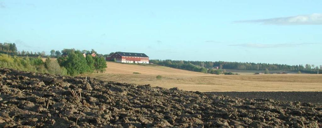 Regionale miljøtiltak utsatt jordarbeiding Utsatt jordarbeiding, (fra høst til vårpløying).