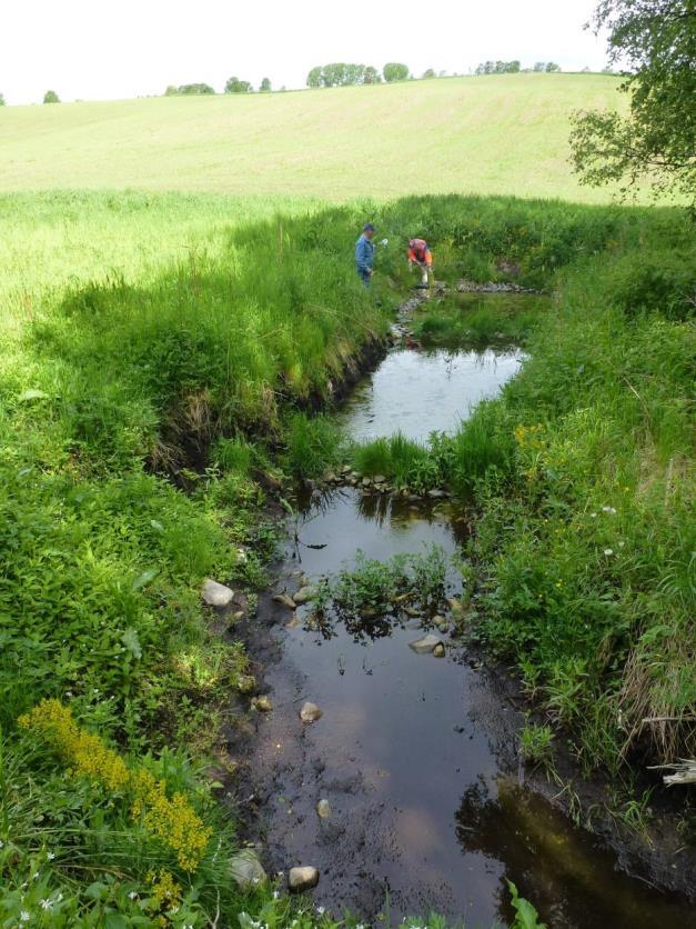 Miljøprosjekt på toppen av Toten Grunneierinitiert prosjekt i Vestre Toten kommune Kalksjøer, omfattende næringssalt- og bakterieforurensning Fra 2008 har Vestre Toten kommune bidratt som nav i