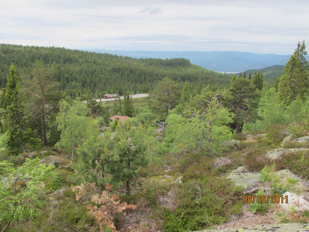 Figur 2: Planområde del A. Utsikt mot adkomstveien, i bakgrunn skymtes Nisser. Tatt mot SV.