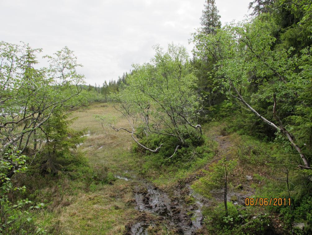 TERRENGET Terrenget er småkupert og preget av bergknauser, myr, lyng og glissent skog.