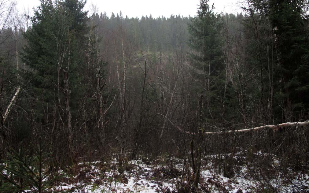 3.5 Tunnel 5 Tunnel 5 blir om lag 1200 meter lang og er orientert i nordvestsørøstlig retning. Den er planlagt å gå gjennom den ca. 170 meter høye åsen Bjørndalsberget, se figur 10, 11, 13 og V001.