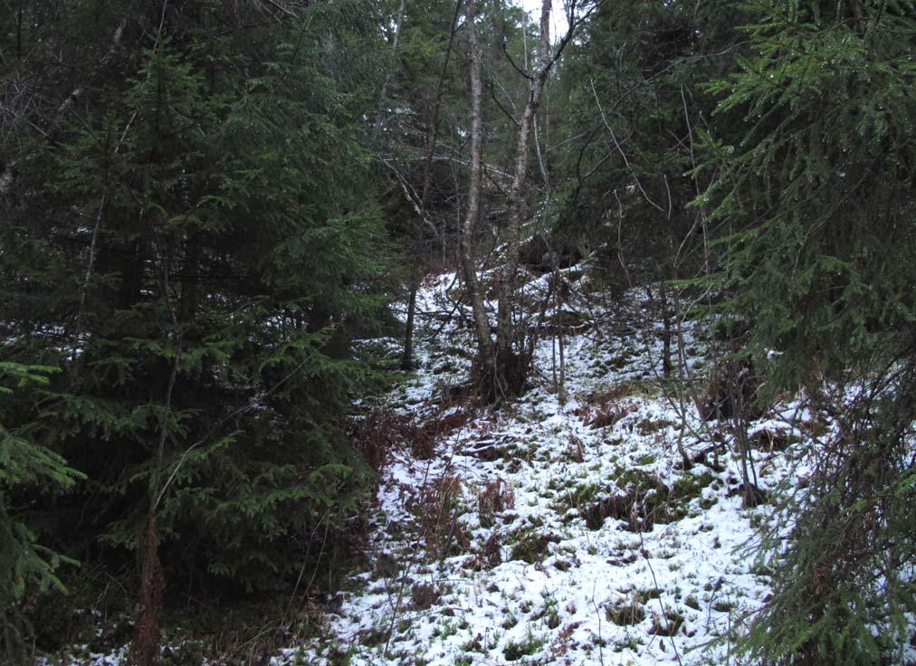 3.13 Tunnel 13 Tunnel 13 blir om lag 1800 meter lang og er orientert i østvestlig retning. Den er planlagt å gå gjennom Heståsen mellom Hesttrøa i øst til Hjelltrøa i vest.