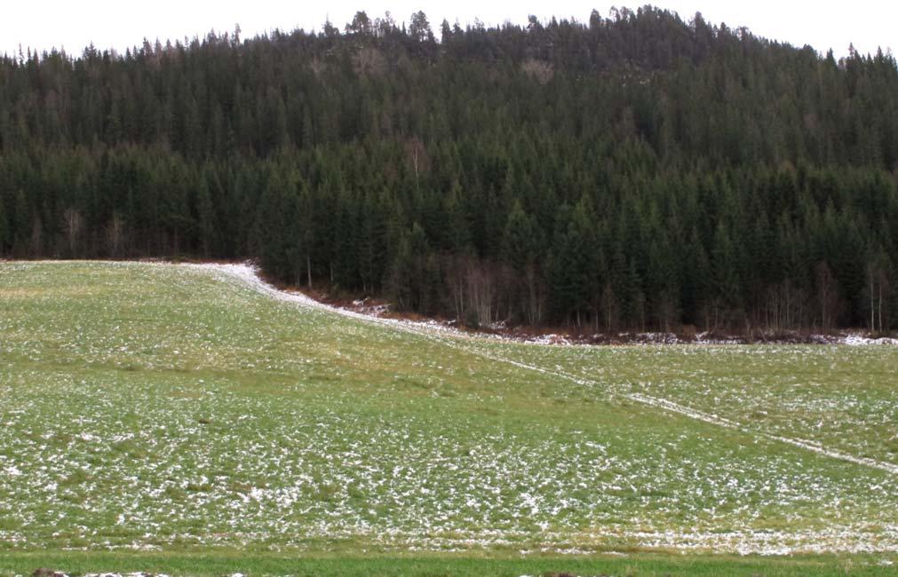 Figur 30: Vestre påhugg til tunnel