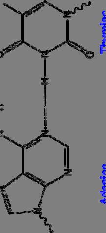 monofosfate