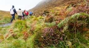 Midt i fjellet ligger Glendalough klosterruin som ble bygd av St.Kevin på 400-tallet. Midt mellom to sjøer ligger dette velbevarte klenodiet, som med sitt runde tårn gjør det veldig typisk for Irland.