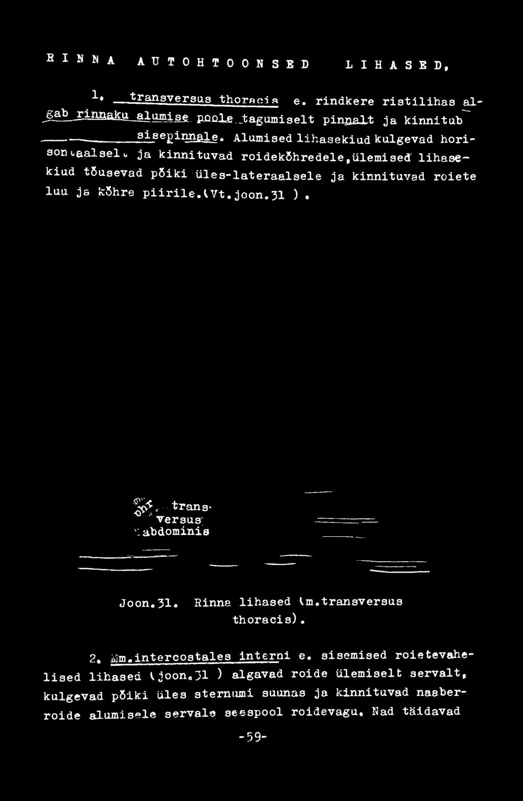 31. Rinna lihased Im.transversus thoracis). 2, Mm с intercostales Interni e.