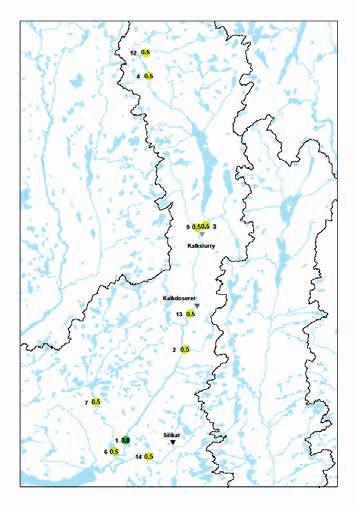 Stasjon 4 ligger i Storåni, nedenfor den tidligere kalkdosereren, og var også i september 2016 svært påvirket av algeoppblomstringer som var så kraftig at det kan ha innvirkning på bunndyrsamfunnet.