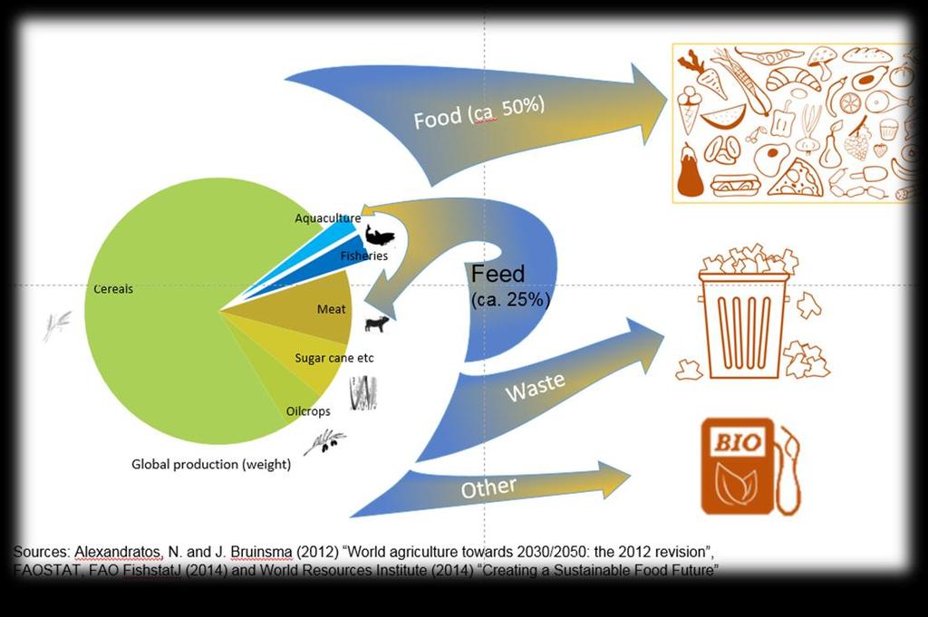 Nofima s arbeid innen bioøkonomi Maksimere andel av råvare som går til mat Redusere soppangrep på korn Alternativ utnyttelse Maksimere utbytte Emballering /