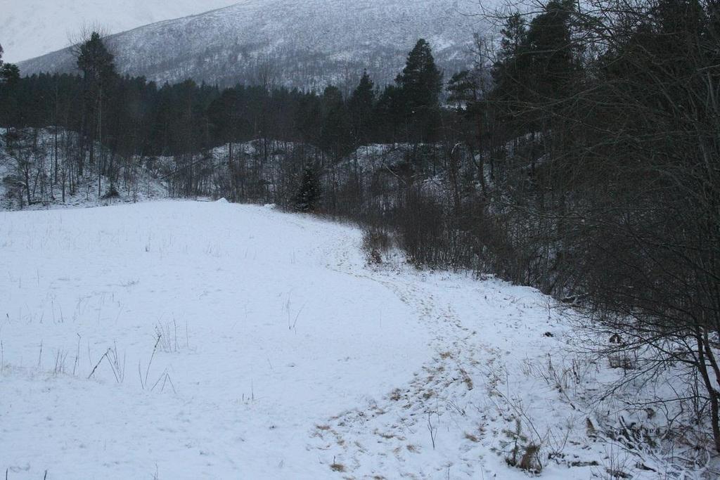 Side 6 mellom høgde 170 og 240 moh. og er såleis opp mot 70 m høge. Til saman blir dette eit omfattande ravinesystem.