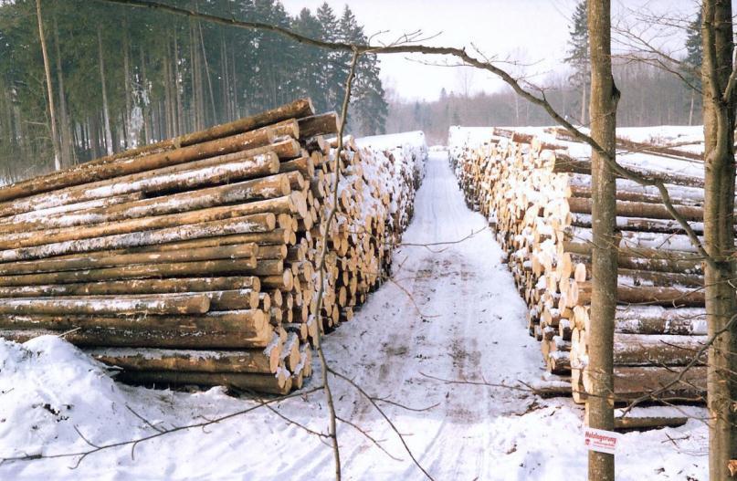 Regional planlegging mellom barken og veden?