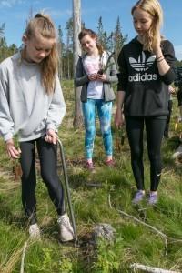 Biologisk mangfold og friluftsliv Skogdag, våren 2018 For