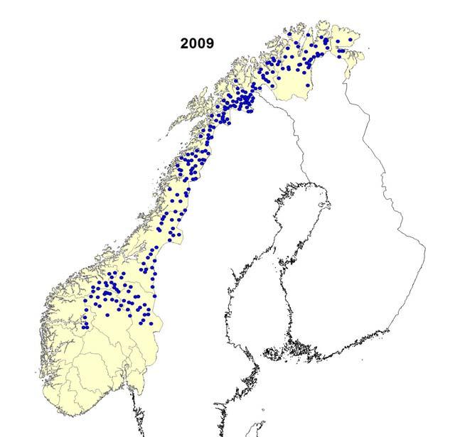 2 Materiale og metoder De årlige yngleregistreringene av jerv i Norge utføres i henhold til Instruks for yngleregistrering av jerv utarbeidet av det nasjonale overvåkingsprogrammet for rovvilt