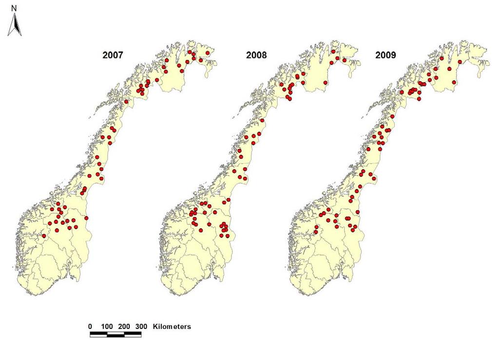 Ynglinger av jerv i Norge 2005-2009 75 4 Antall registrerte ynglinger av jerv 50 25 58 8 49 11 10 40 41 7 46 0 2005 2006 2007 2008 2009 Årstall Figur 3.