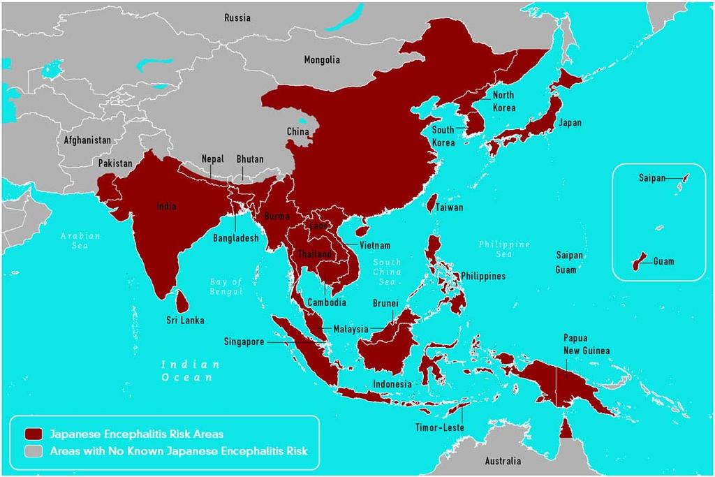 CHIKUNGUNYA Alfavirus Afrika, India, Sør Øst Asia, Europa og Amerika Lab.påvist i Norge: 2014: 8, 2015: 11, 2016: 3 Mennesker og pattedyr er naturlige verter.