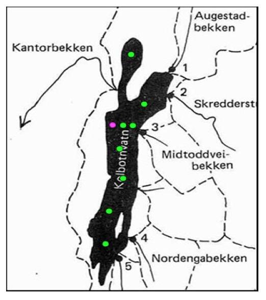 12 Temperatursjiktning Vannmassenes lagdeling har avgjørende betydning for kjemiske og biologiske prosesser i en innsjø og derfor fordeling og vekst av alger og cyanobakterier.