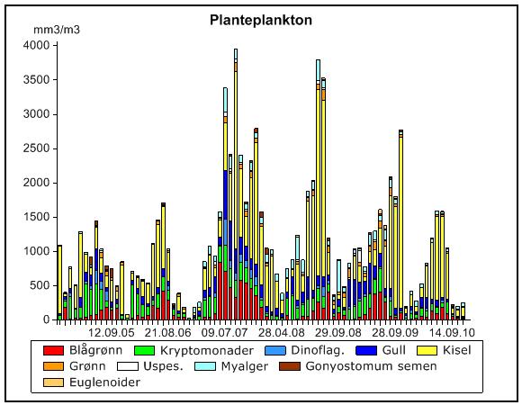 Variasjon i planteplanktonets mengde- og