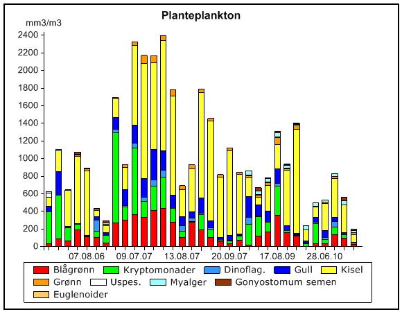 Variasjon i klorofyll og planteplanktonetmengde og -sammensetning