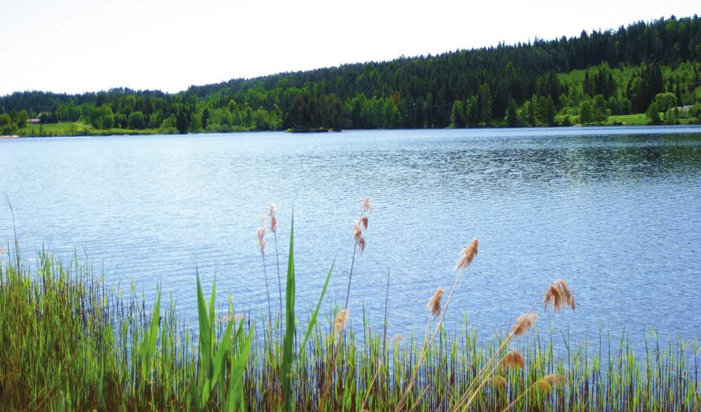 Økt vannføring i elva gir økt erosjon blant annet i elvebredden, noe som fører til at fosforrike partikler transporteres ned til Storefjorden.