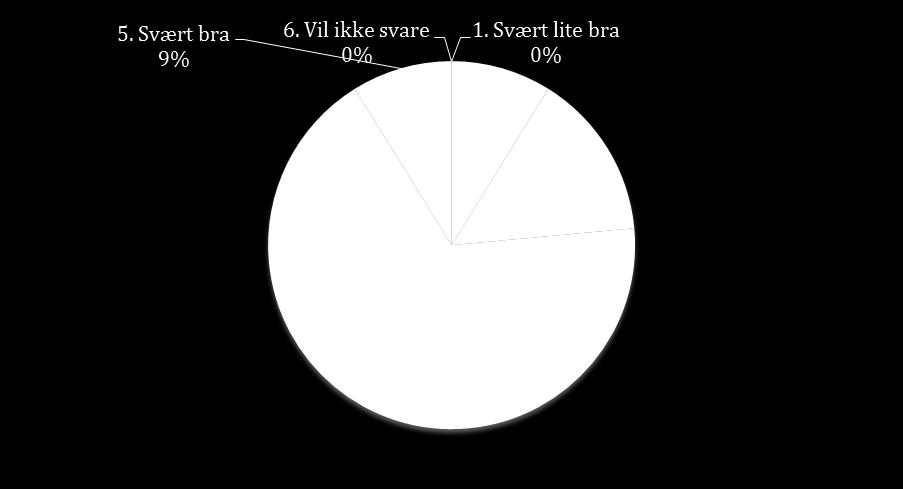 Spørsmål 10A: Benytter du RNF's hjemmeside? (www.rananf.