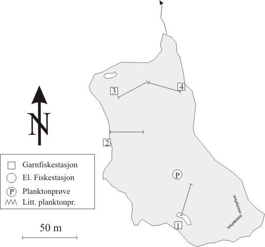 4 LITLEVATNET I FJALER INNSJØEN Litlevatnet (KP 86 008, 7-4) ligger i et lite kystvassdrag ved Einunga i Fjaler kommune, 5 moh. Innsjøen har et areal på 0,06 km².