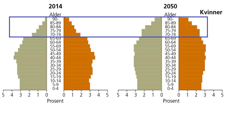 Eldrebølgen når land I 2060 er hver femte innbygger i Norge minst 70 år