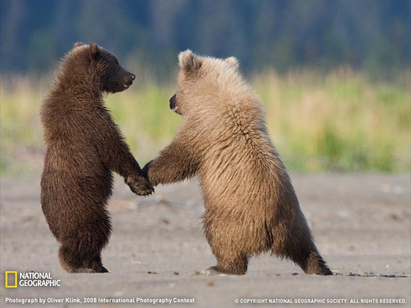 OVERSIKT OVER DAGEN PÅ GRIZZLY: Denne oversikten er ment som et utgangspunkt, vi er alltid fleksible i forhold til tidene. 7.00-8.15: Frokost for de som ikke har spist hjemme og lek på avdelingen 8.