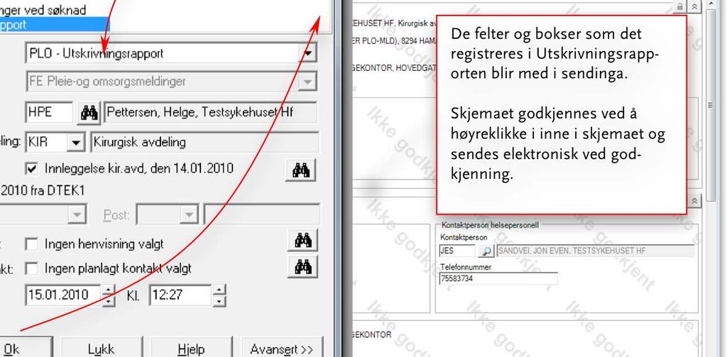 Meldingen skal erstatte sjukepleierepikrise og