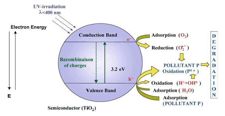 radicalii formaţi reacţionează uşor cu speciile adsorbite, oxidându-le, cu formare de CO 2, H 2 O şi specii parţial oxidate. Figura 1.