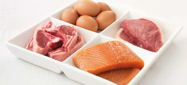 Animalske proteinkilder Rent kjøtt av