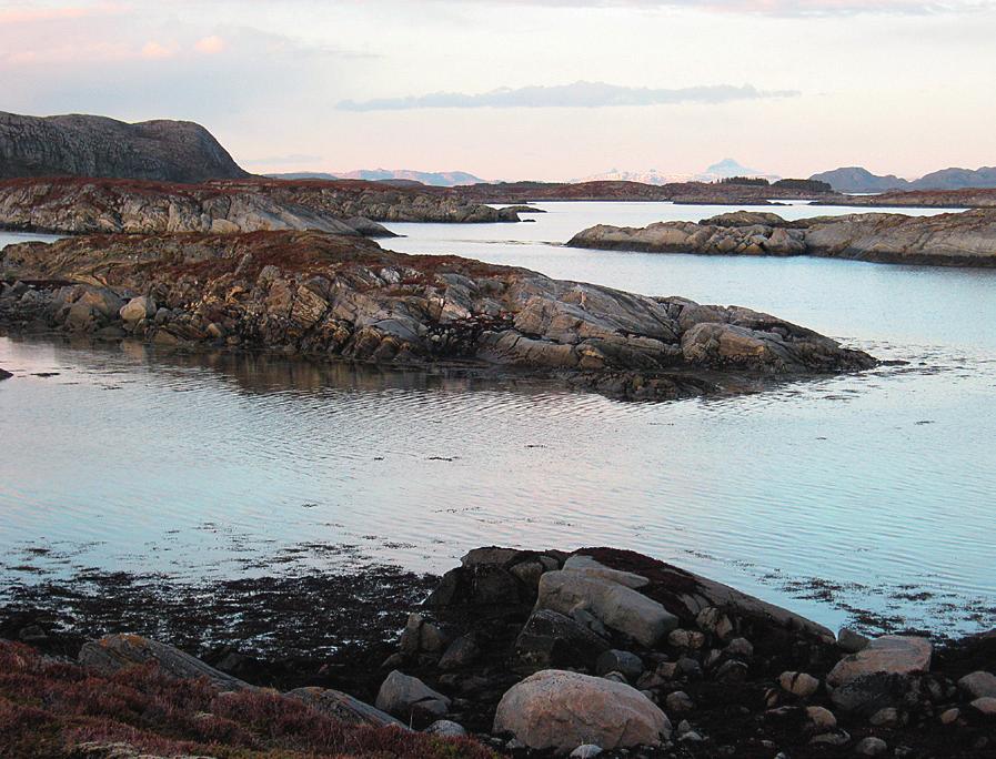 vest-vikna kystlandskap Vest-Vikna kystlandskap fikk status som ramsarområde i 2013.