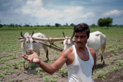 Vann og vanningsmetoder utfordringer i matproduksjon Klimaendringer/tørke truer Indias landbruk. India har i år vært rammet av omfattende tørke.